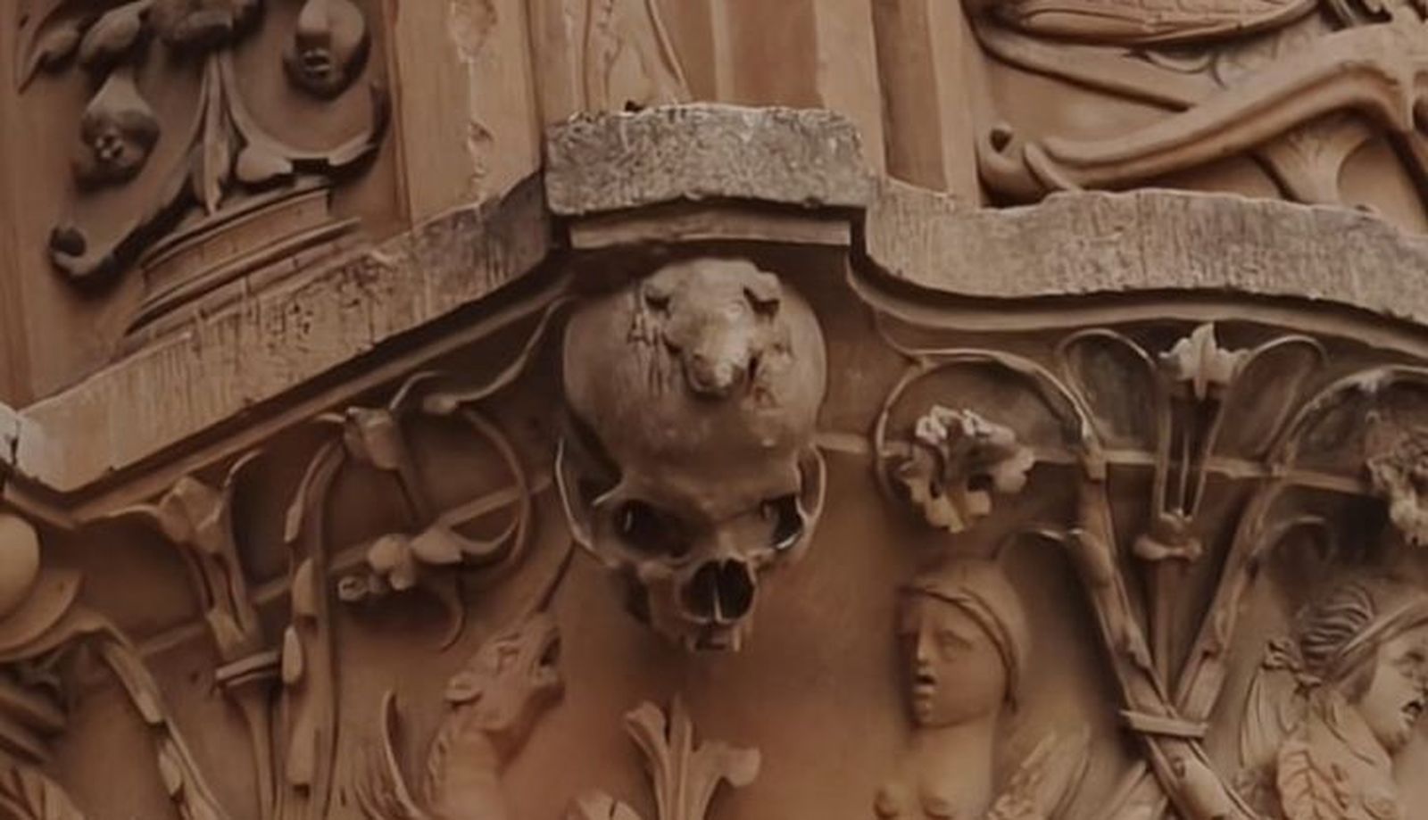 Rana en la fachada de la Universidad de Salamanca