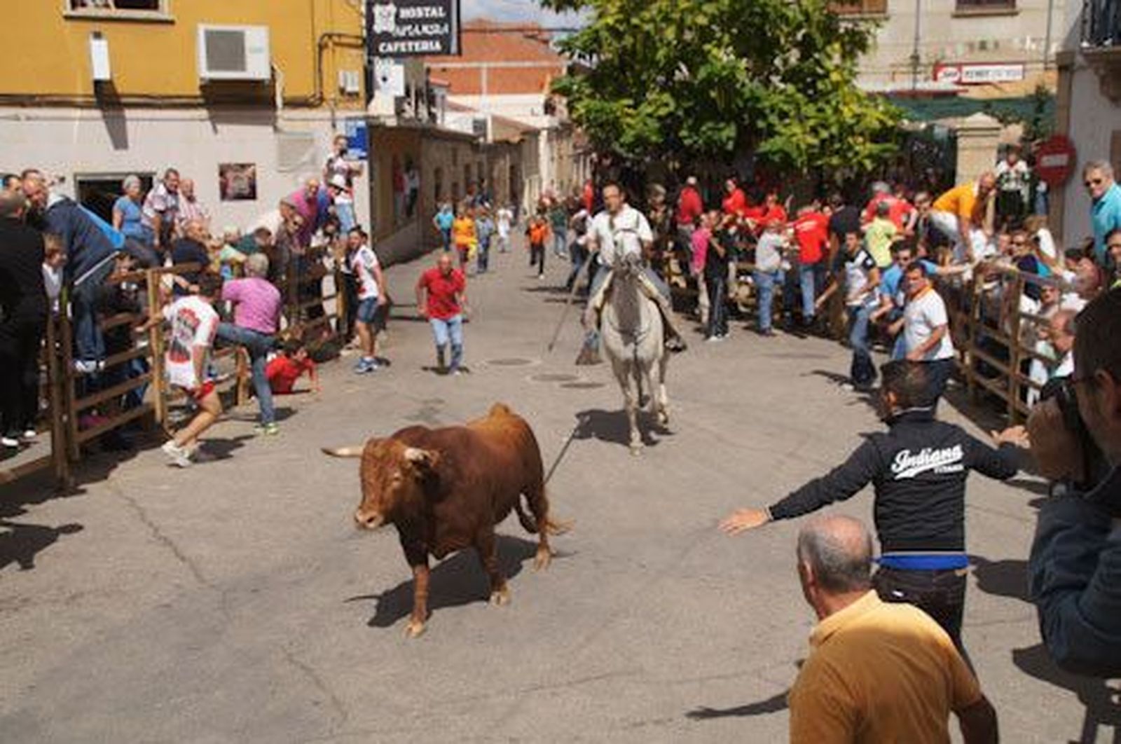 Rápido encierro de Miranda de Pericalvo