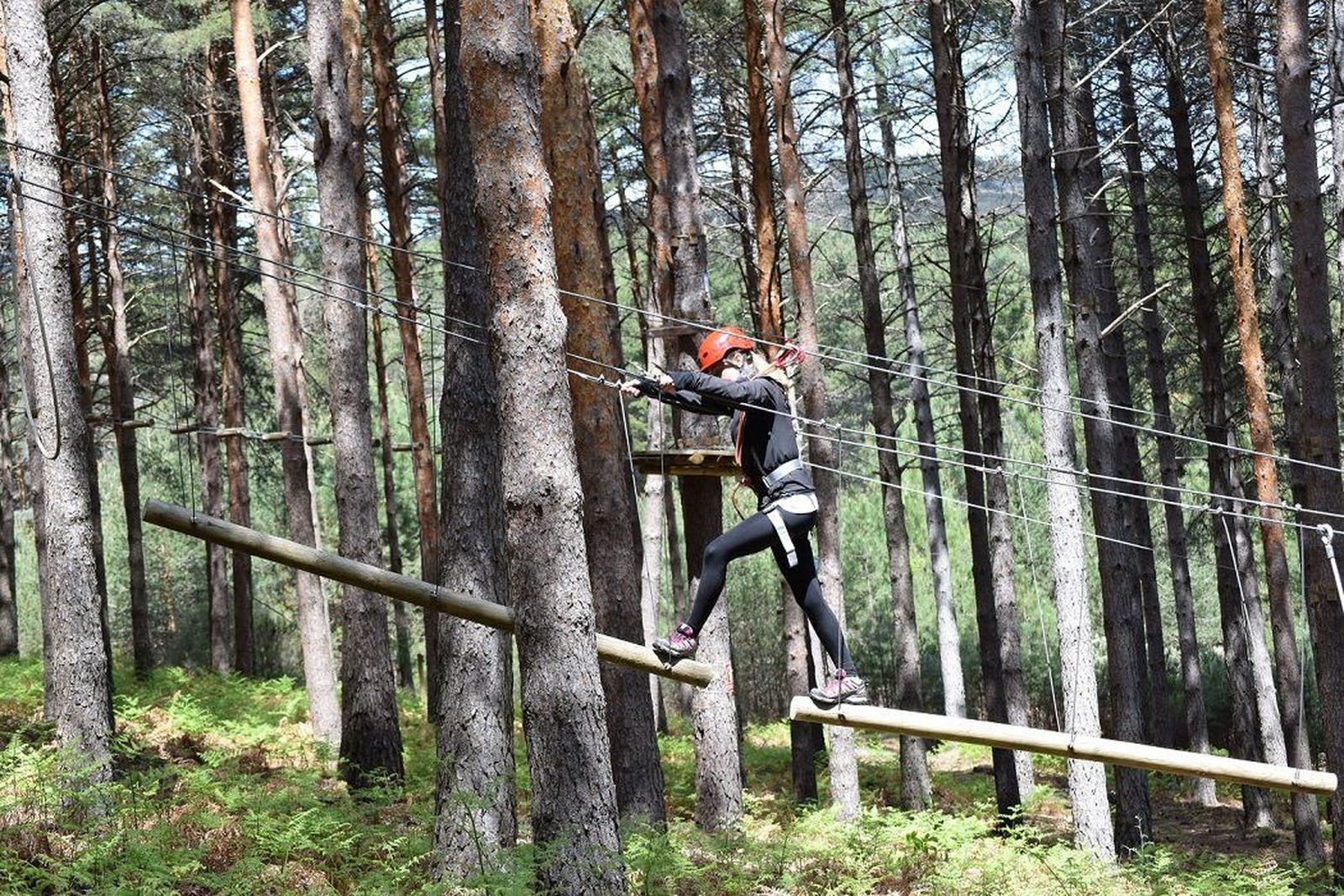 Bosques de Aventura, turismo activo en contacto con la naturaleza