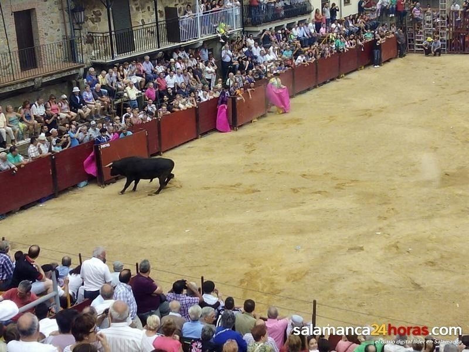 Las Fiestas celebran el Día del Toro