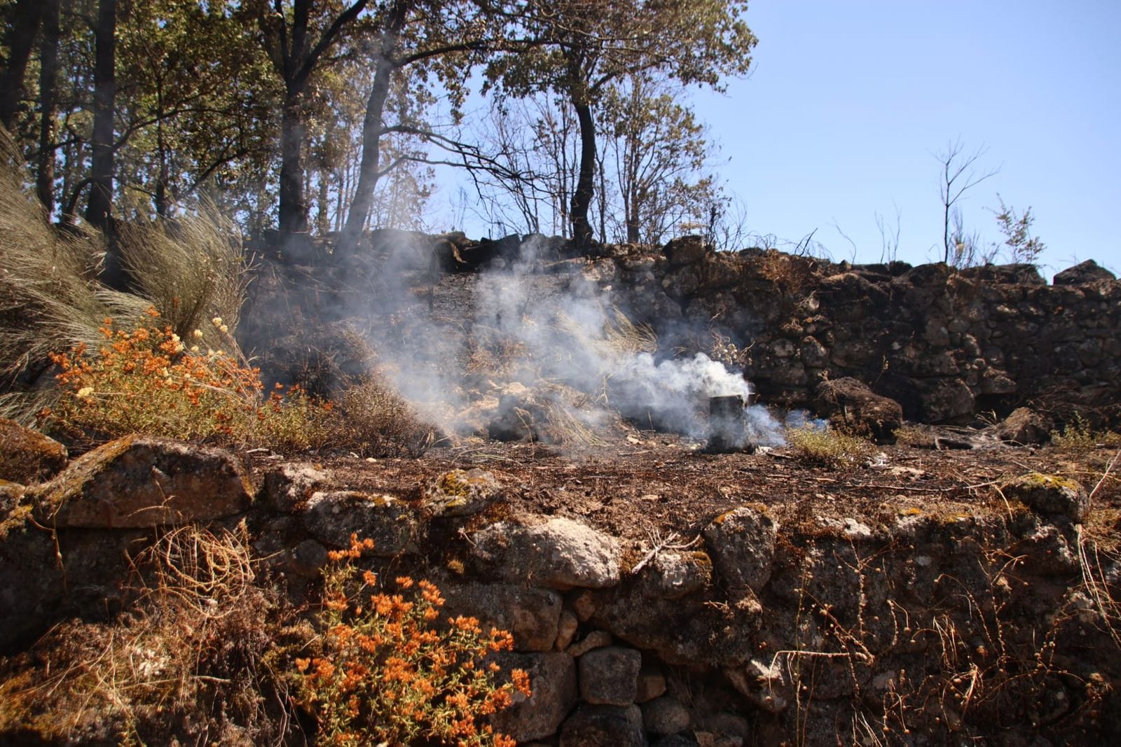 Incendio forestal en Cepeda. Foto de archivo