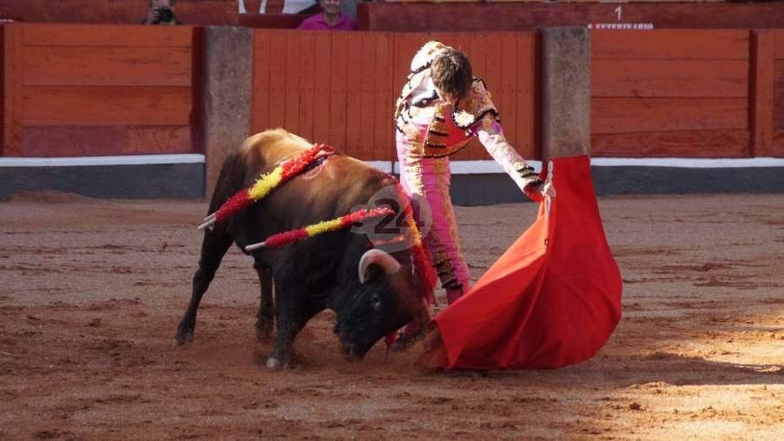 Antonio Grande debutará con picadores en la Feria de la Virgen de la Vega