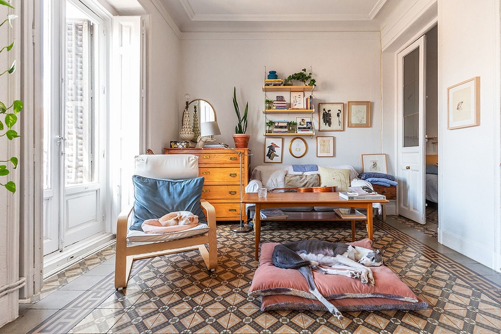 Fotogalería formación