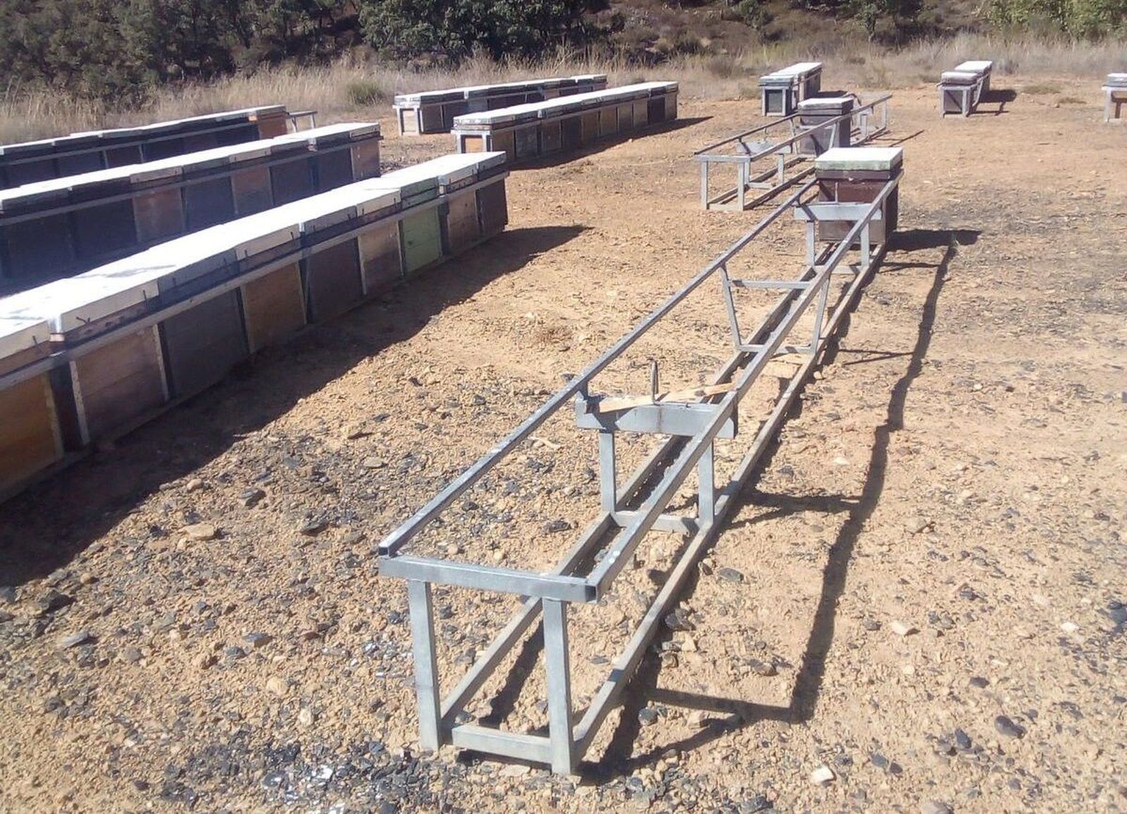 Roban 34 colmenas de un apicultor salmantino en la localidad leonesa de Bembibre