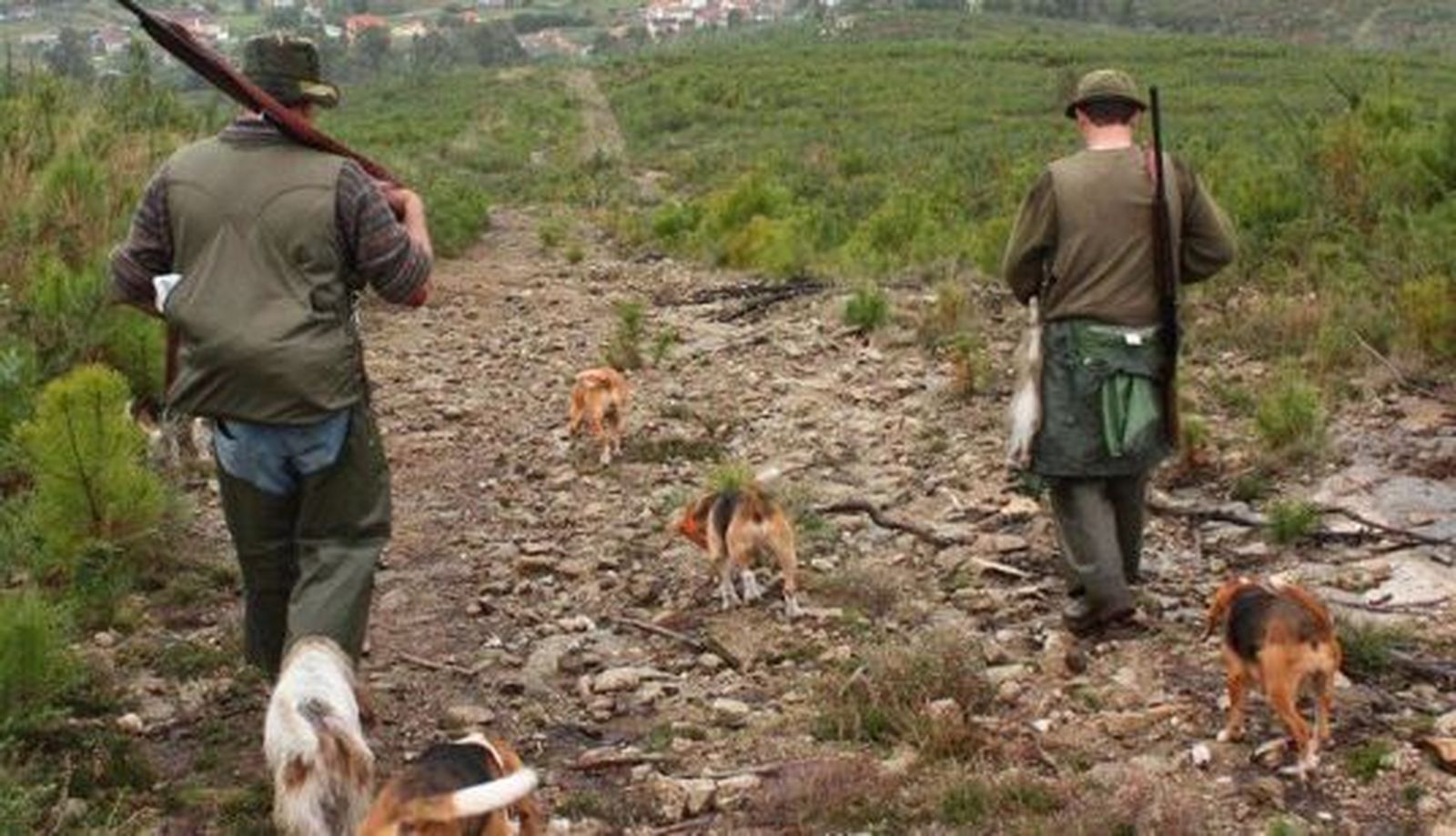 fotonoticia 20101017090549 690