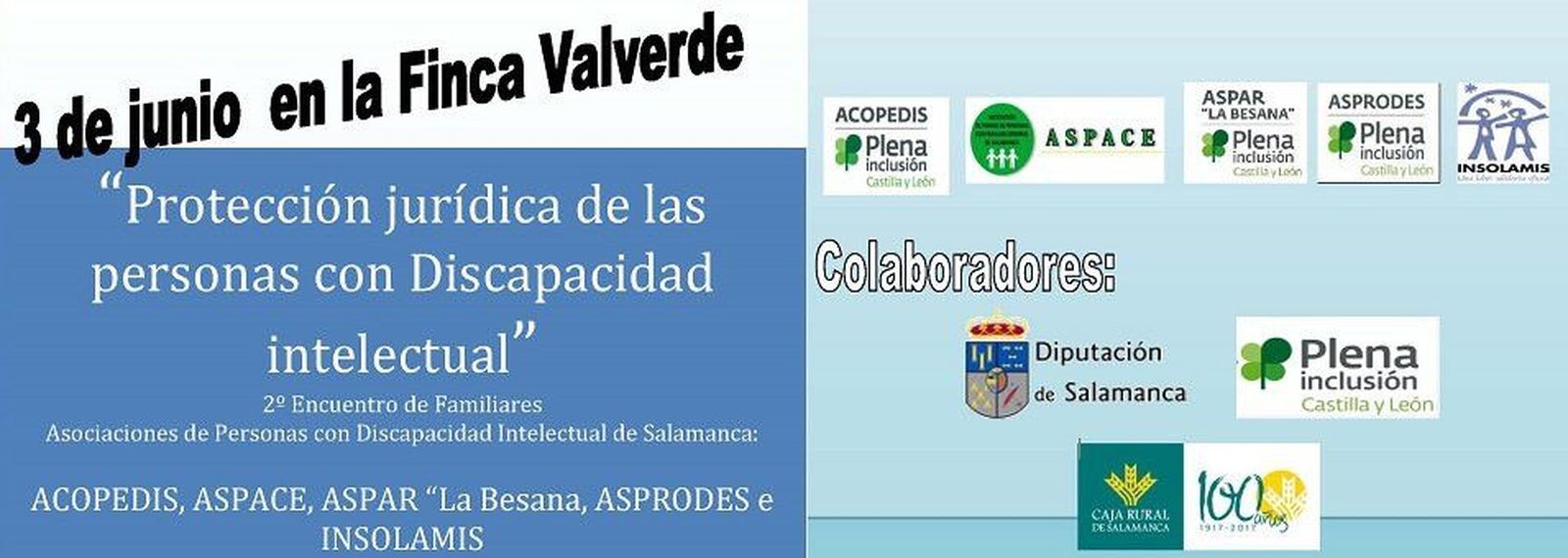 Asociaciones de Personas con Discapacidad Intelectual  participan en el segundo encuentro sobre protección jurídica