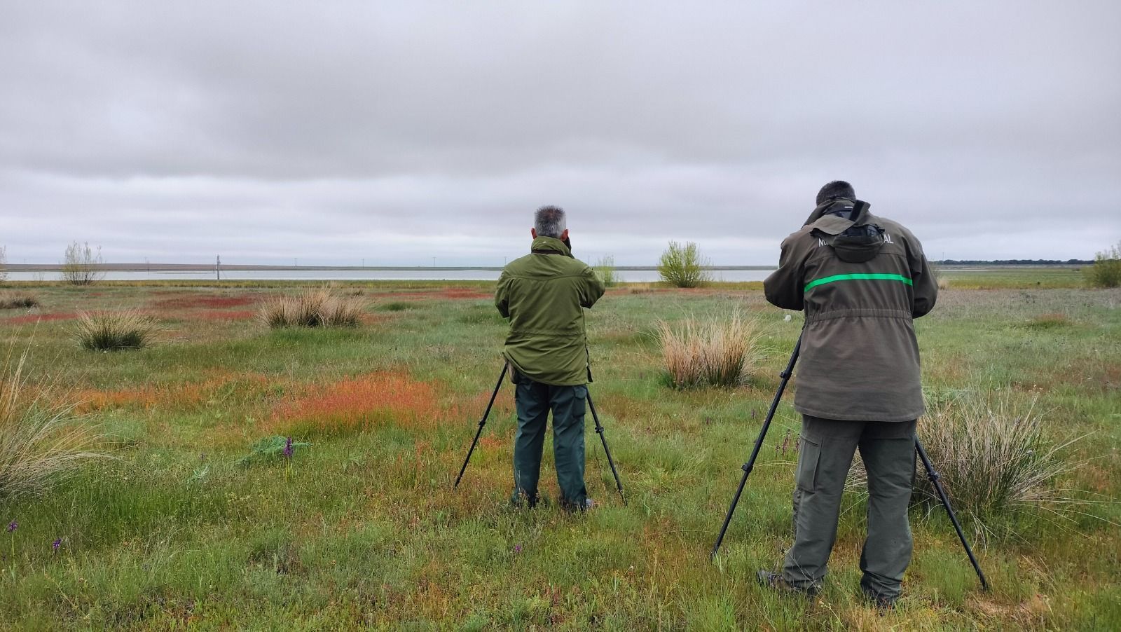 Avistamiento aves migratorias.
