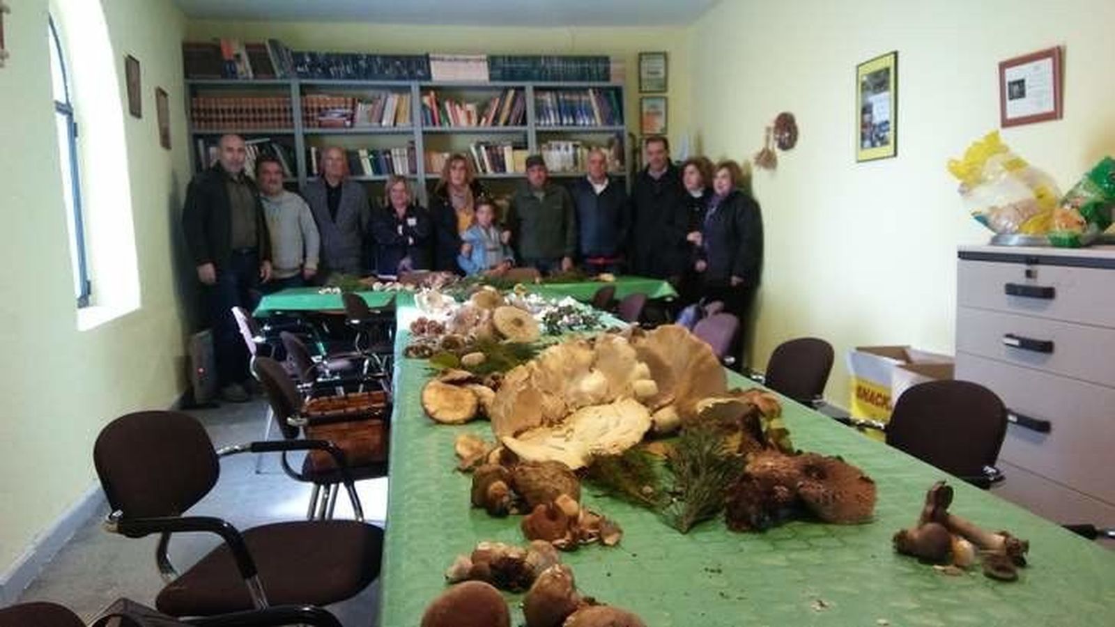 La Junta aprueba el decreto que regula el recurso micológico silvestre en Castilla y León