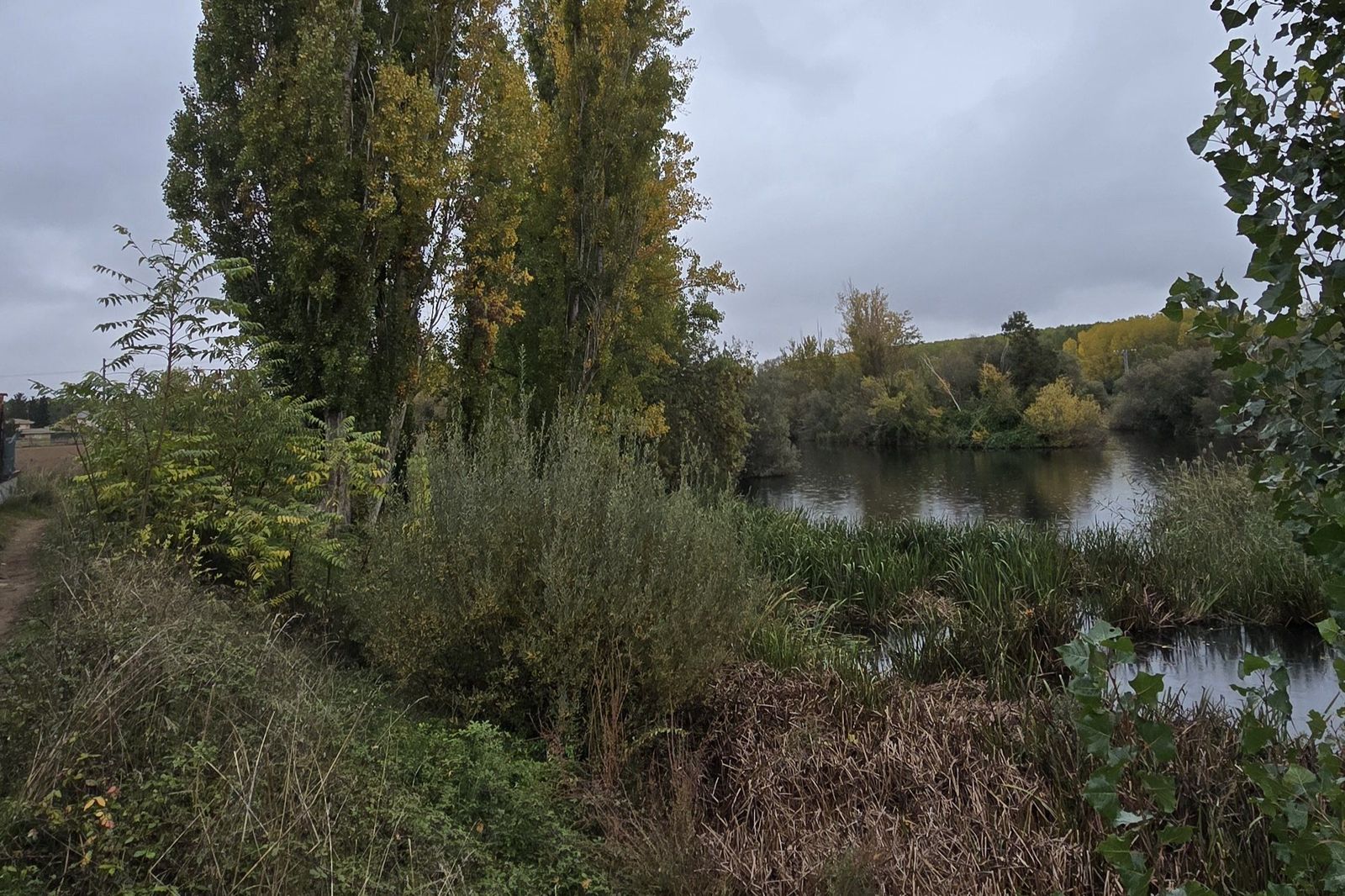Ribera del Río Tormes. Foto Andrea M.