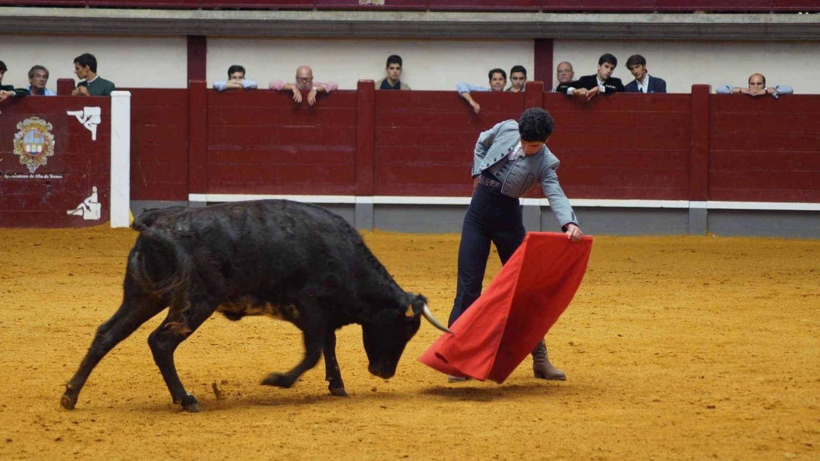 Tercera y última tienta del bolsín taurino de Alba de Tormes