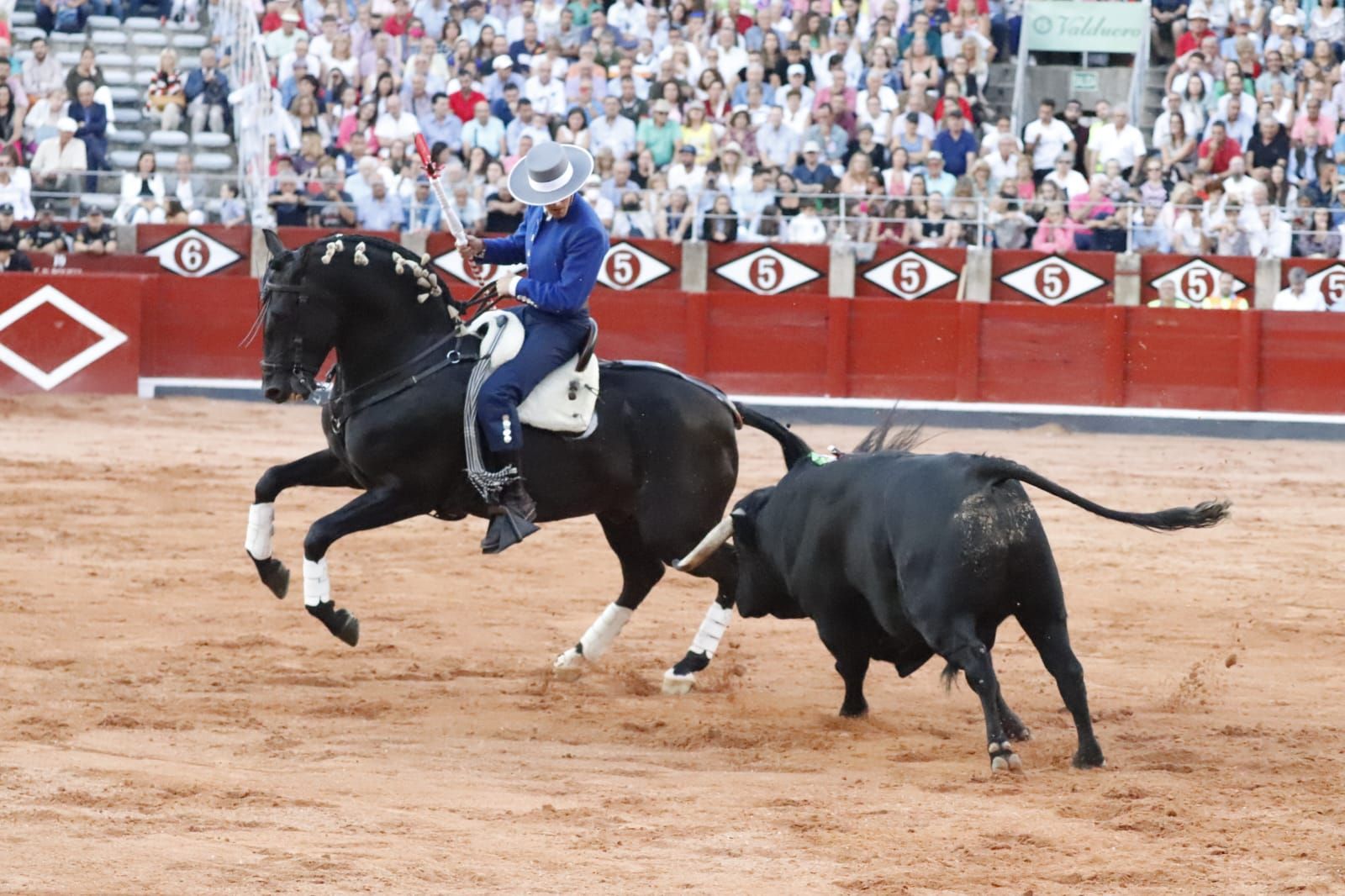 WhatsApp Image 2022 09 21 at 8.09.14 PM