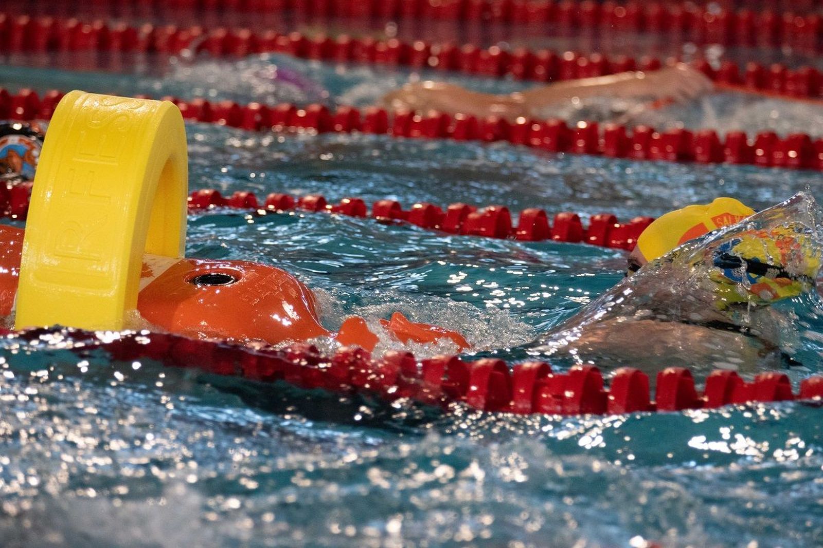 Competición de Salvamento y Socorrismo