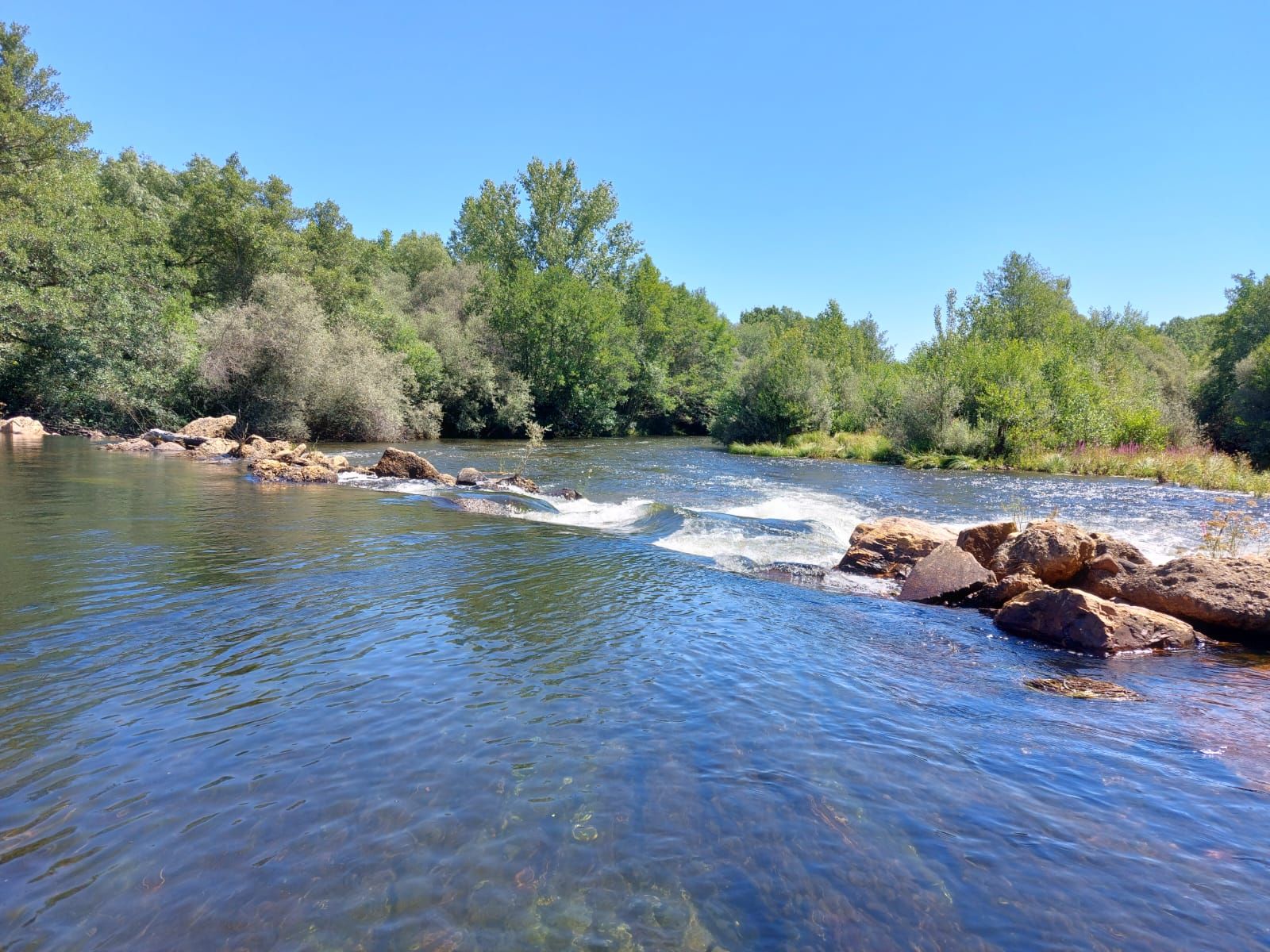 Imagen del río Tera a su paso por San Croya de Tera. Archivo