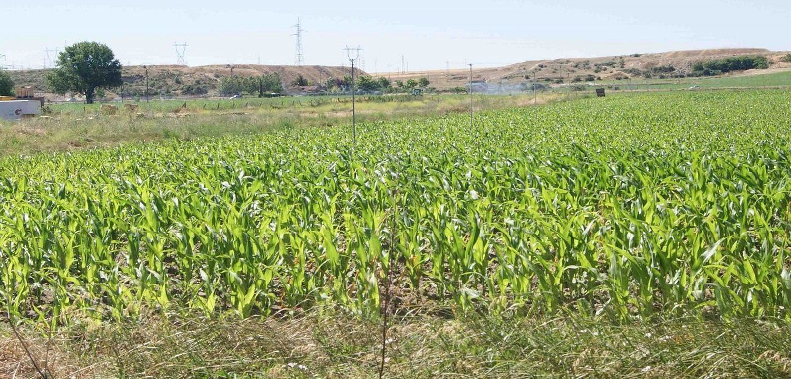 UPA se desvincula del acuerdo alcanzado con Geslive