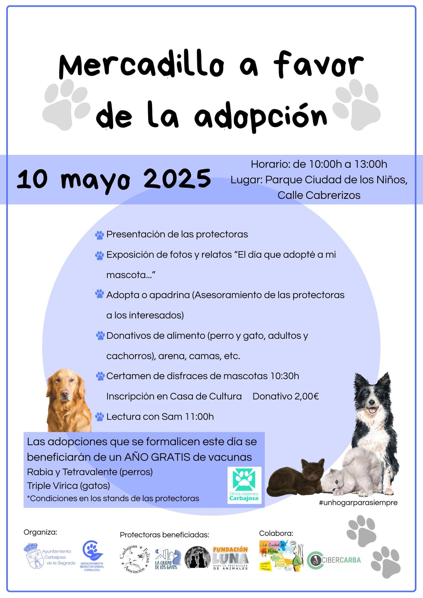 Cartel Mercadillo a favor de la adopción