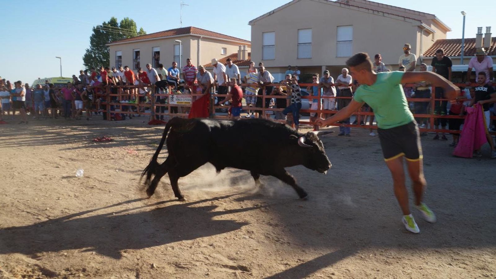 Fiestas en Villoruela: Toro del Cajón
