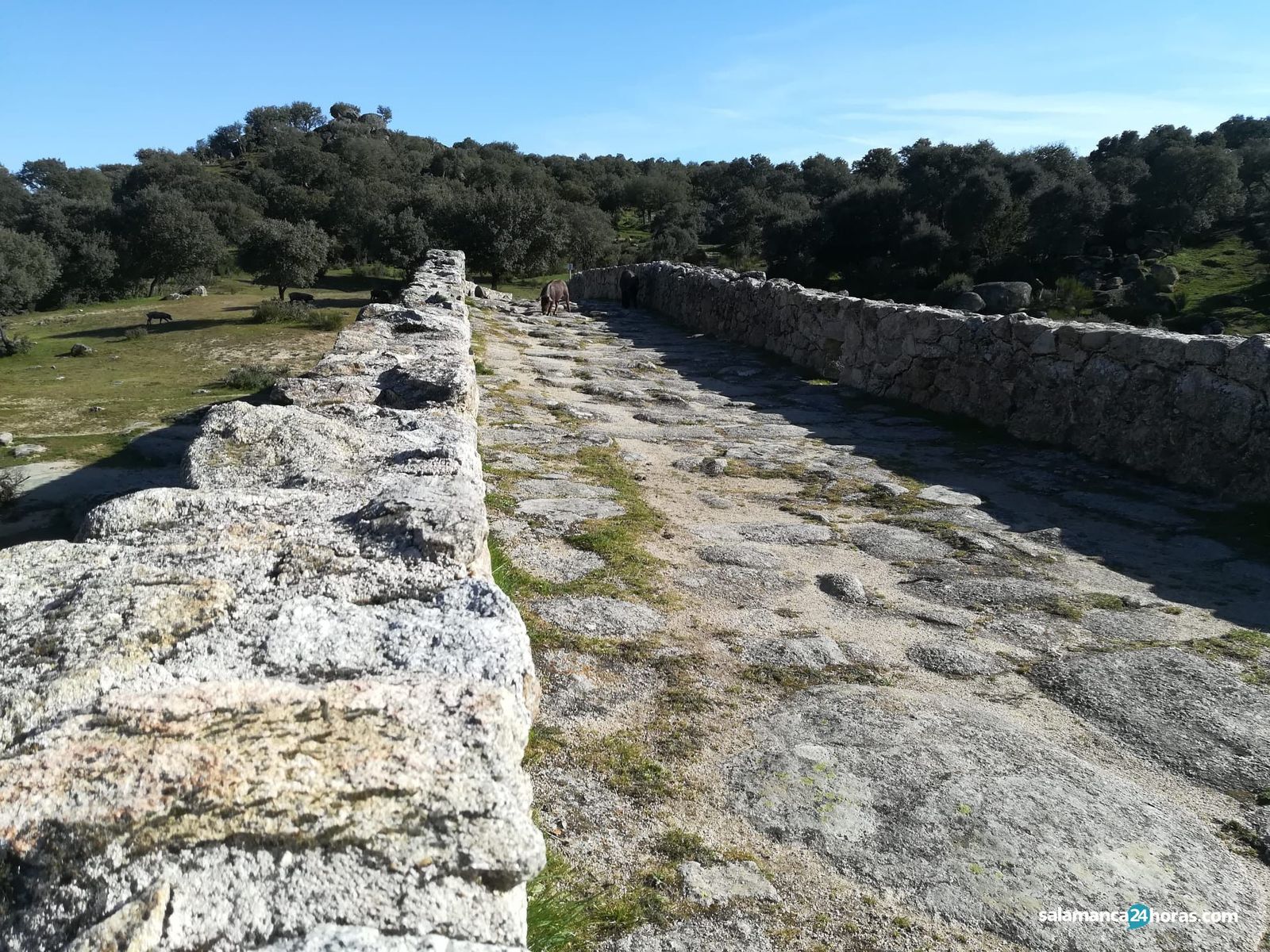 LEDESMA PUENTE MOCHO