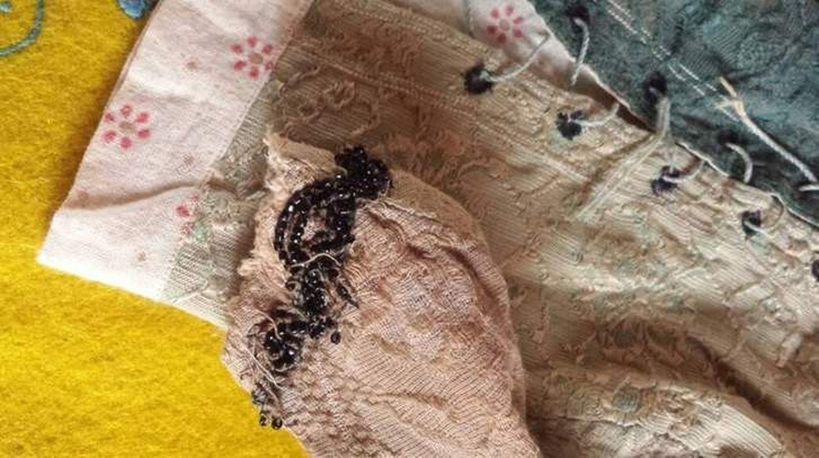 La donación de una vecina enriquece los fondos del Museo Etnográfico