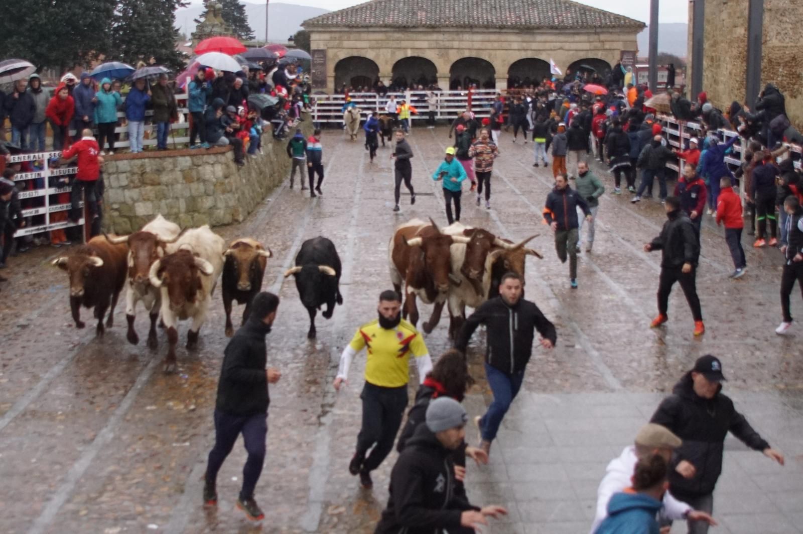 Encierro urbano lunes de Carnaval Ciudad Rodrigo 2025: encierro y ambiente. Foto: Juanes