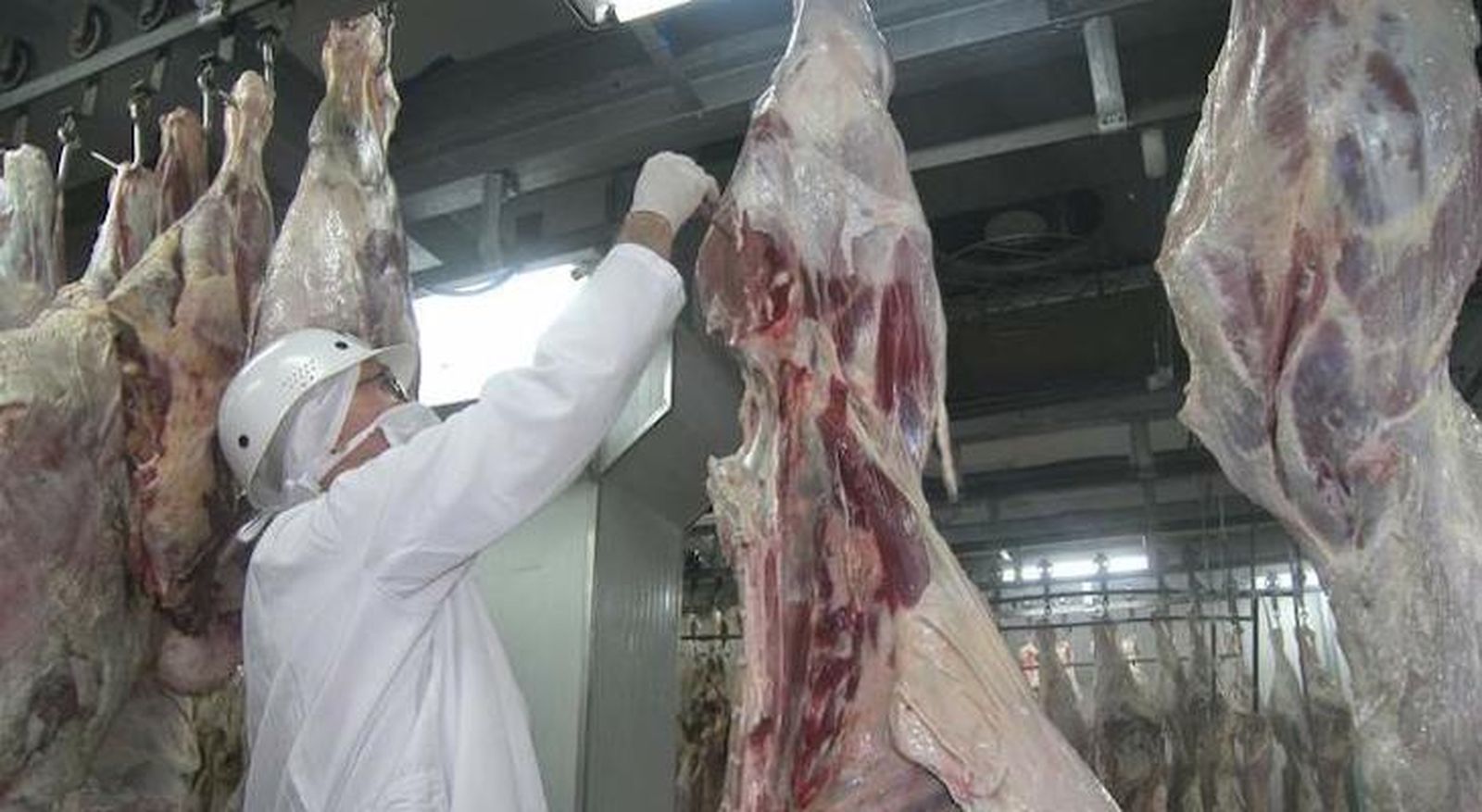 La Asociación de Industrias de la Carne impulsa el autocontrol y la calidad en el sector junto al Ministerio