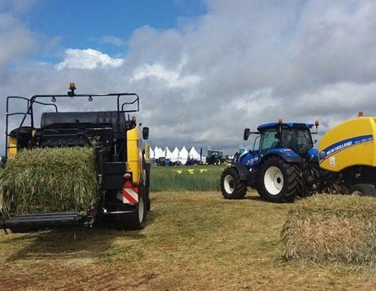 El sector agrícola, en pleno crecimiento laboral