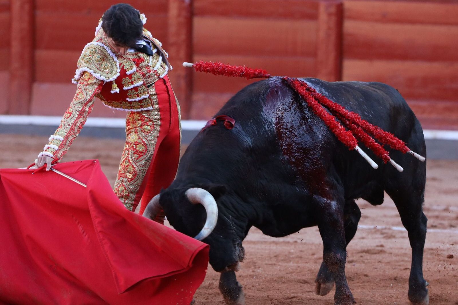 Derechazo de Antonio Grande