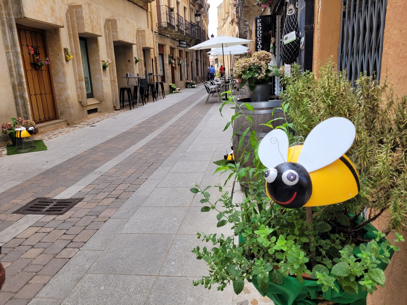 Concurso floral en Ciudad Rodrigo