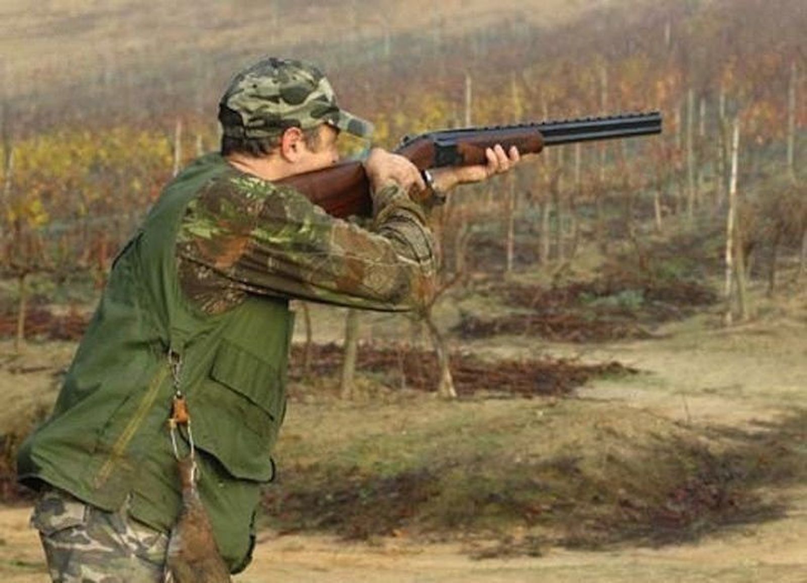 Medio Ambiente autoriza la caza de 40 lobos en Zamora para esta temporada