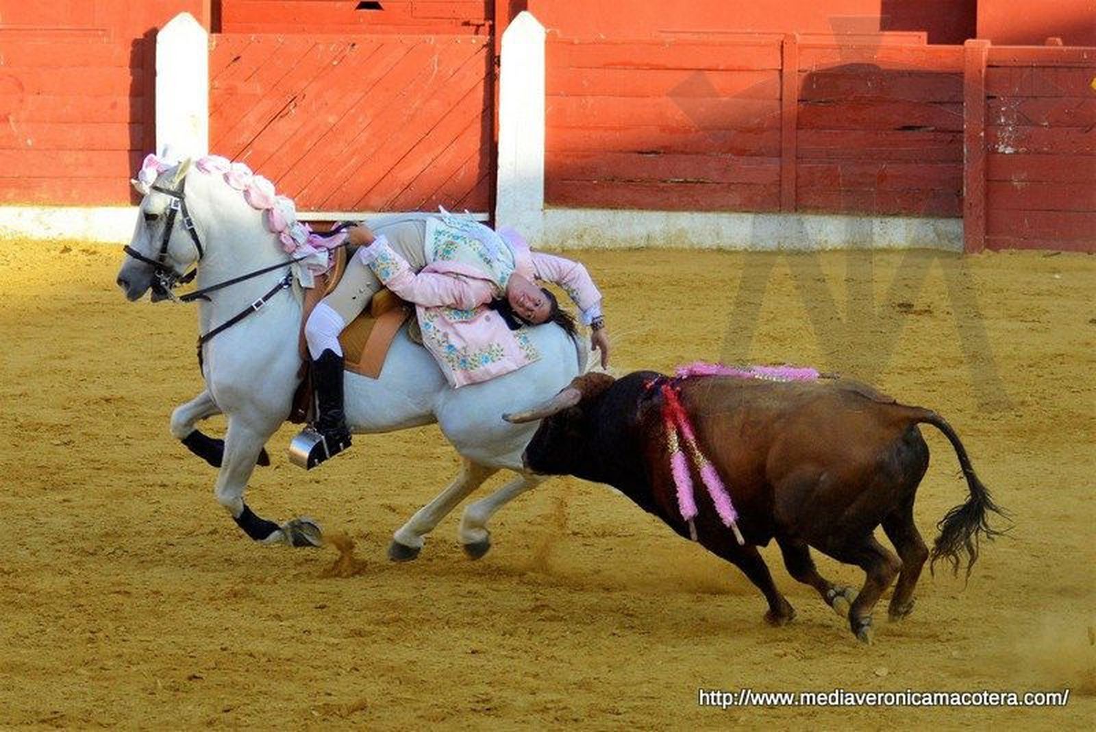 Braulio Hernández, ganador del cuarto concurso de fotografía taurina de Macotera
