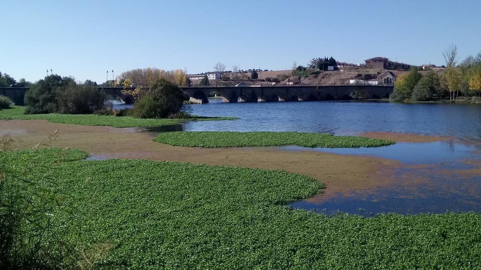 La Confederación continúa negando ayudas ante los problemas del río Tormes
