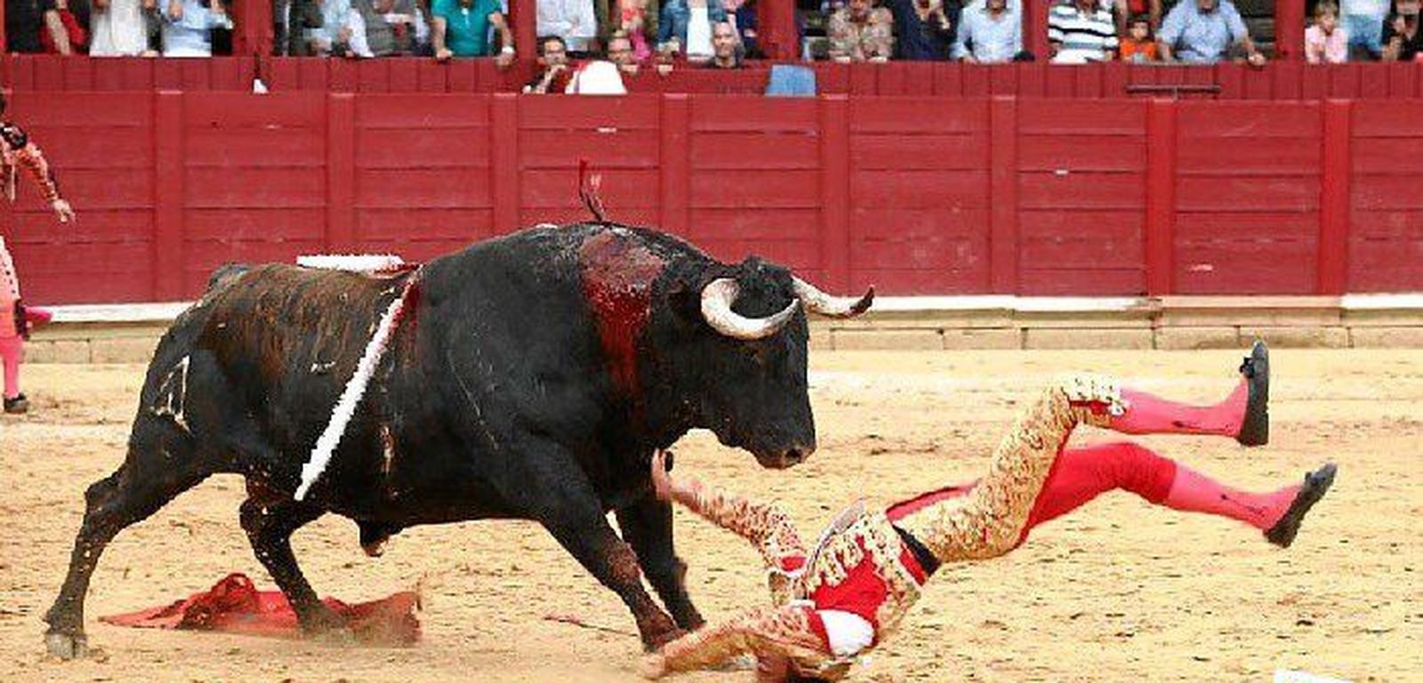 El torero onubense David de Miranda operado con éxito en Salamanca