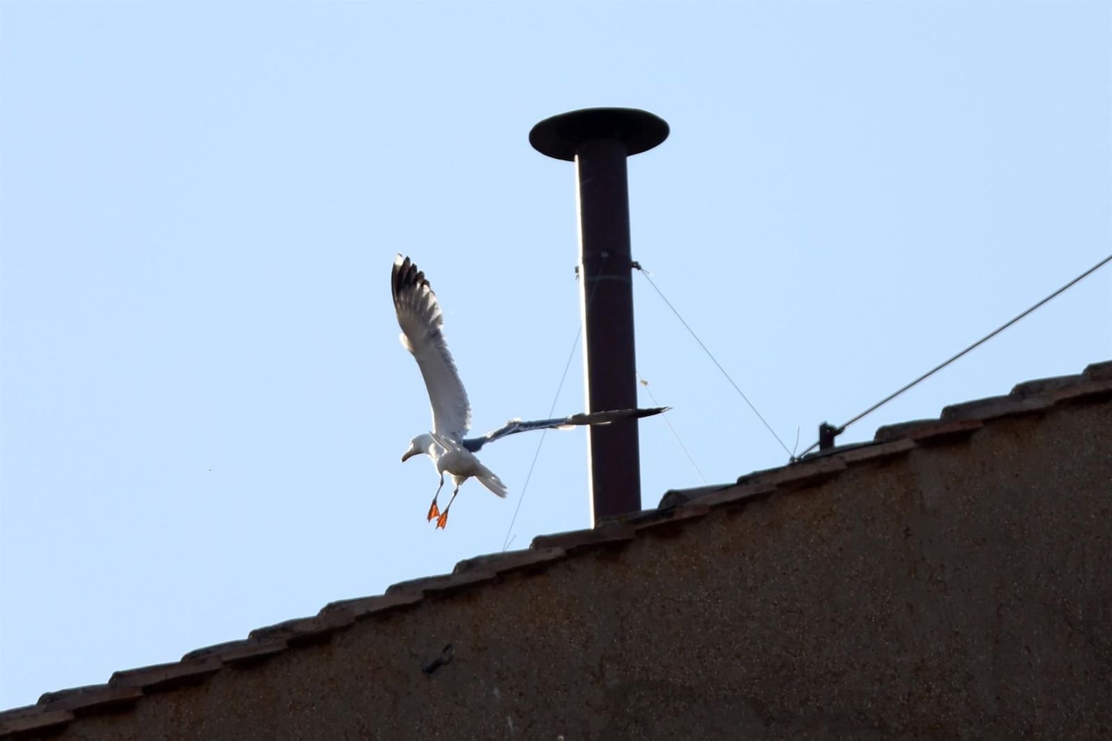 La chimenea en el tejado de la Capilla Sixtina - Europa Press/Contacto/marco iacobucci.