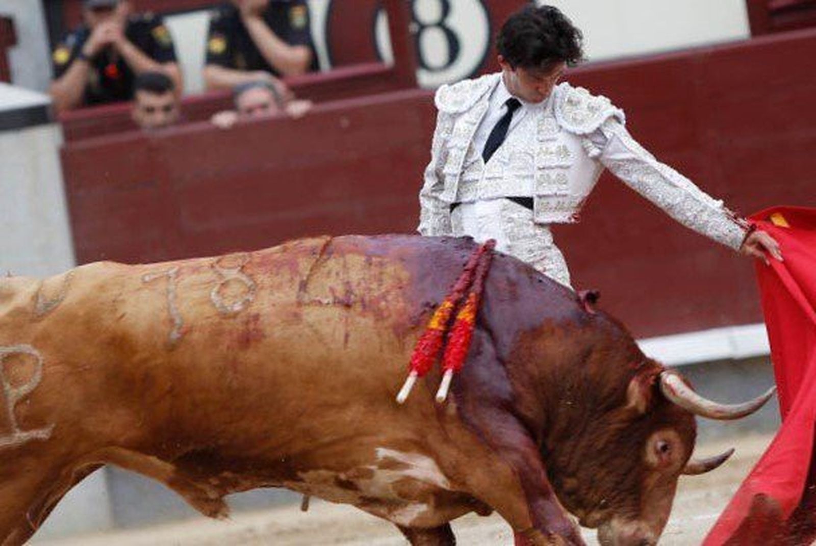 Juan del Álamo recoge el premio a mejor torero de San Isidro de Telemadrid
