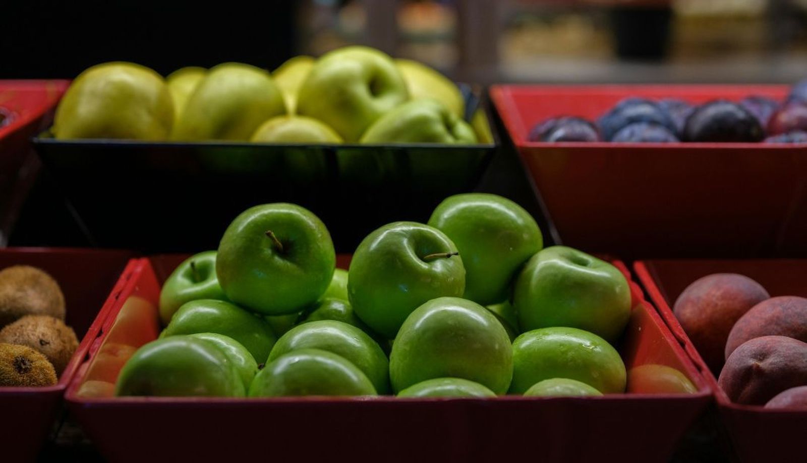 Castilla y León participa en el proyecto europeo Vision4Food para transformar el sistema alimentario