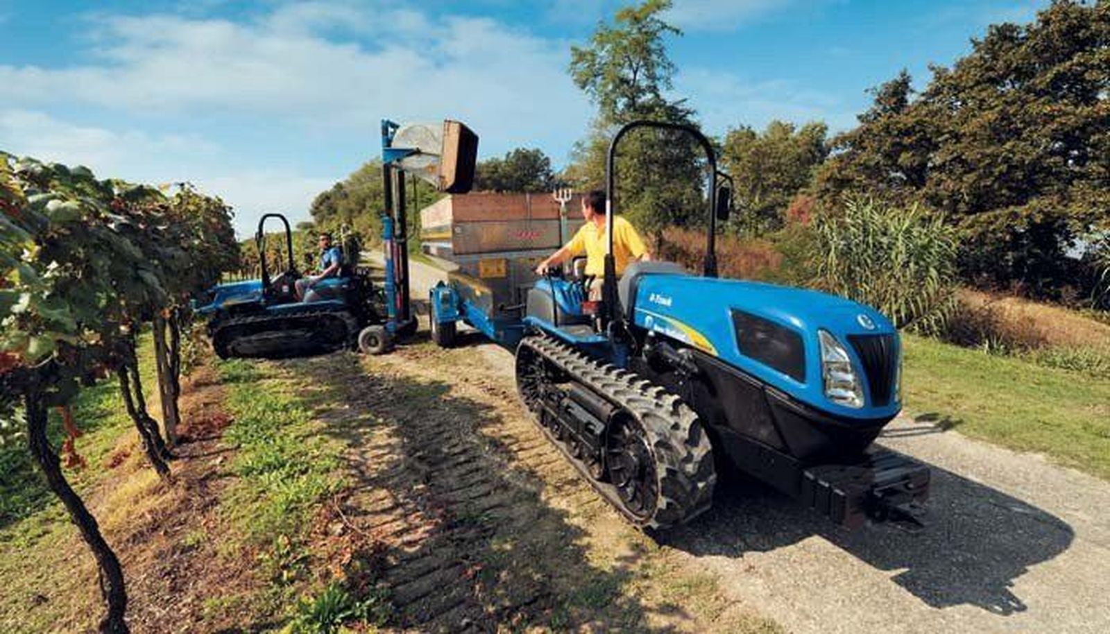 Más de 31 millones de euros a las comunidades para programas agrícolas y ganaderos