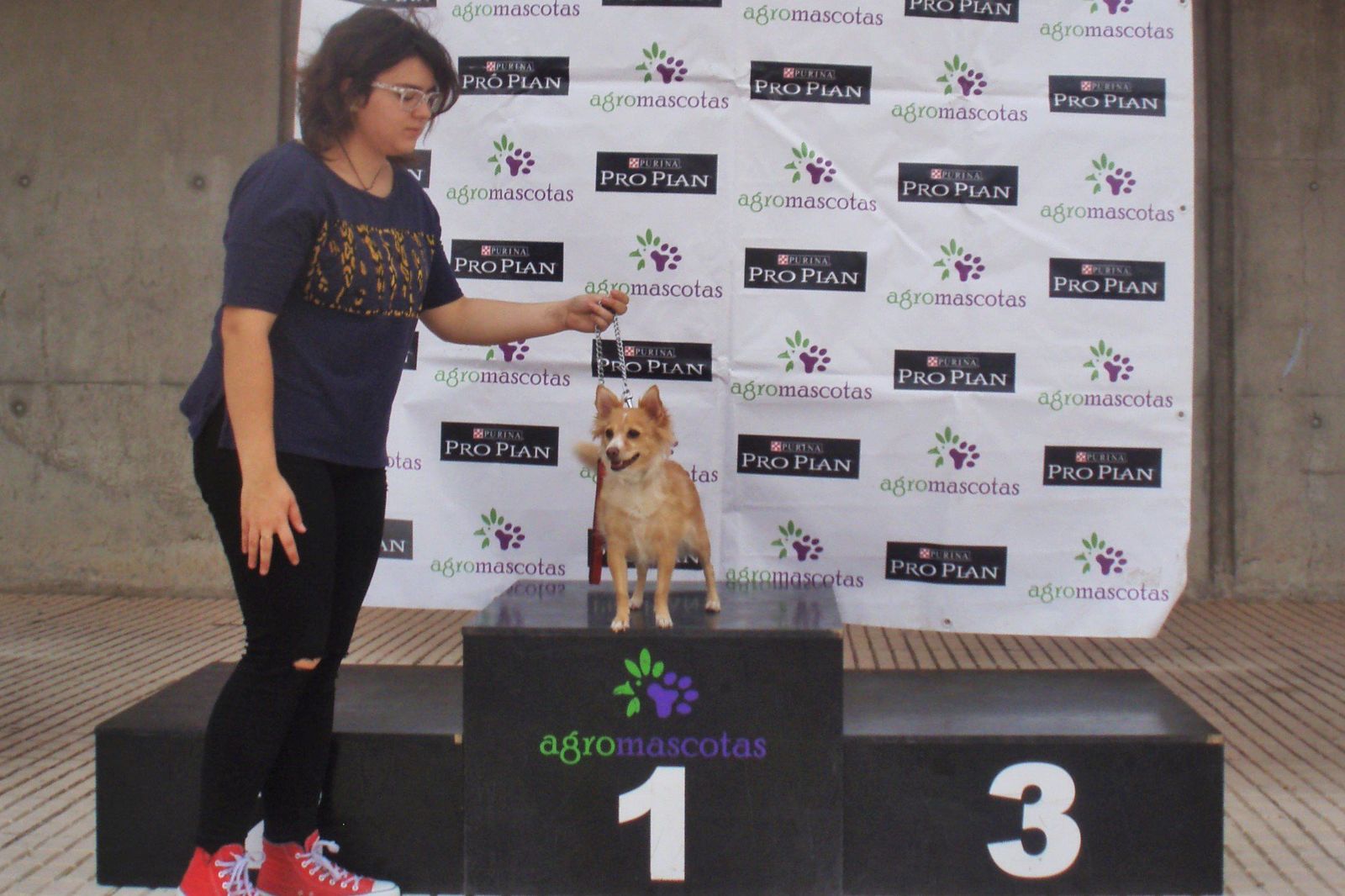 Sesenta vecinos participan en el curso canino de Villares de la Reina