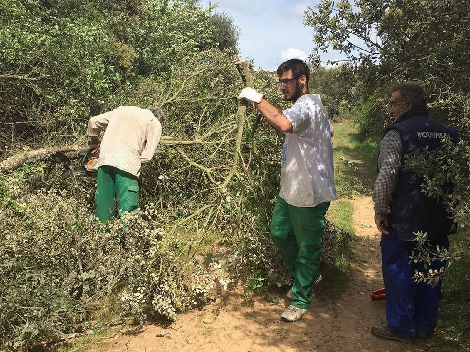 Arreglo del acceso desde el pueblo a la carretera que une Vecinos y Linares
