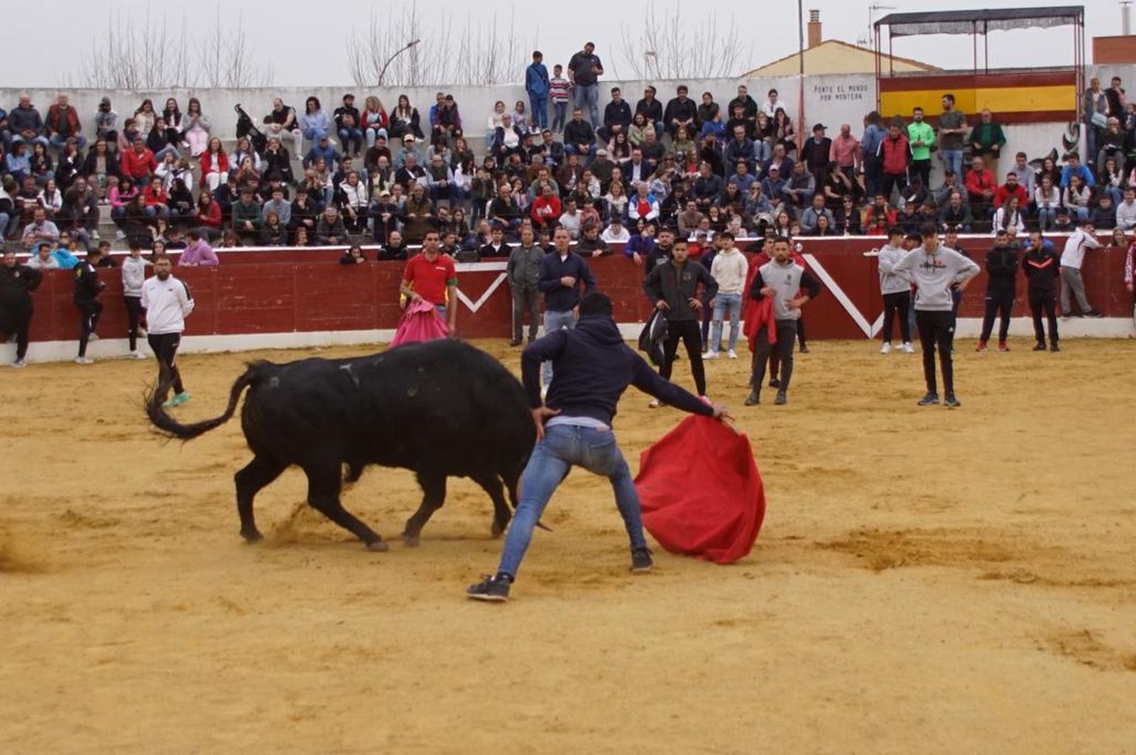 Ambiente y participación durante el 'Toro del Voto' en Villoria, suelta de dos toros del cajón. Foto Juanes (75)