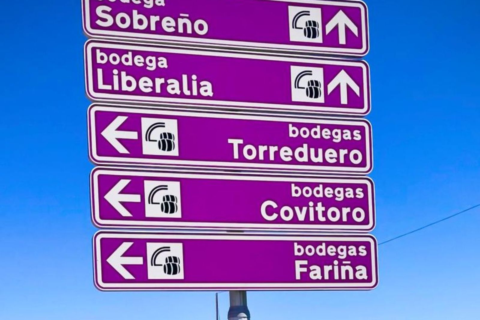 La Ruta del Vino estrena nuevas señalizaciones para potenciar su imagen turística