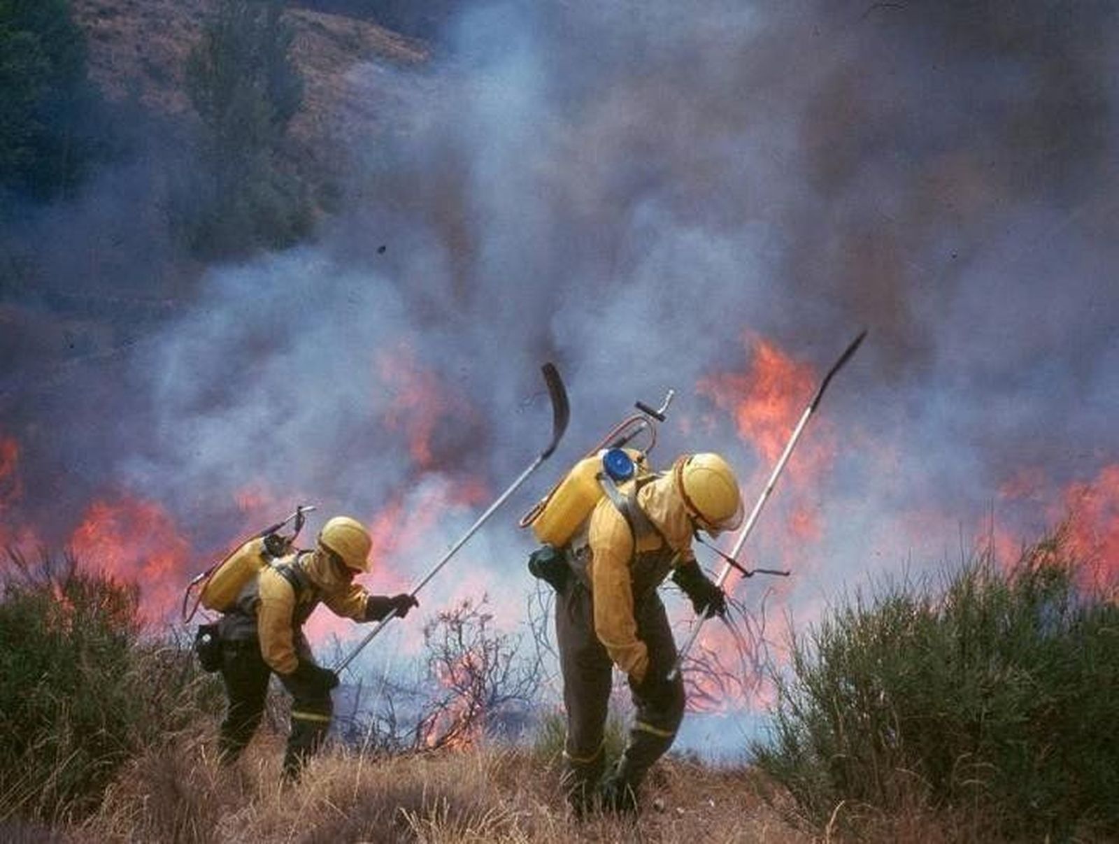 “Hemos tenido suerte, si no lo cogemos a tiempo, toda la sierra se abrasa”