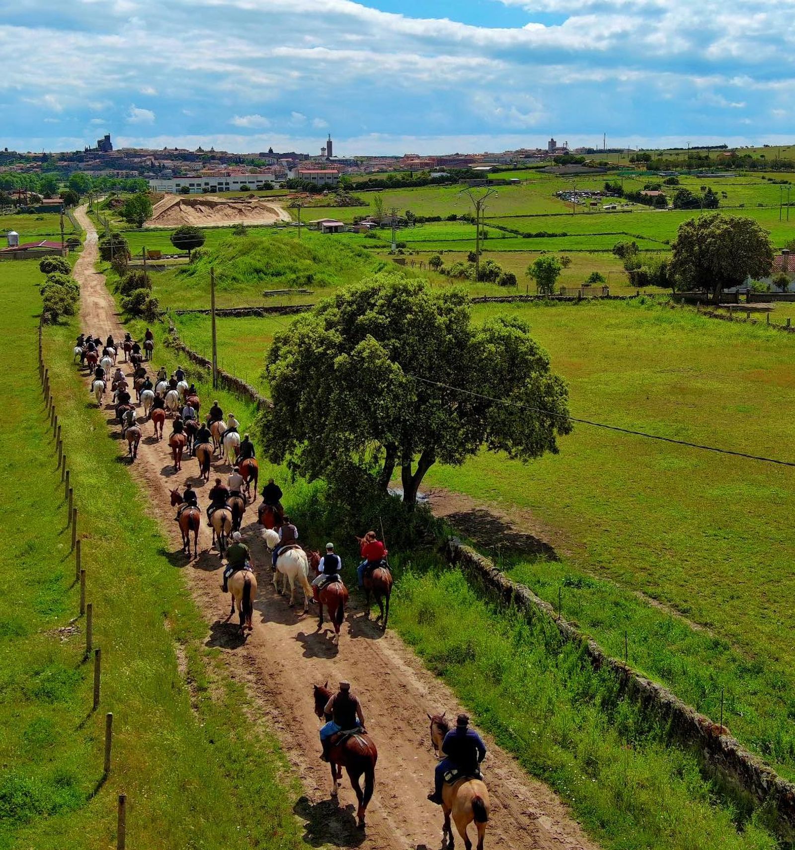 495838093 615714478182185 7041780008127348174 n