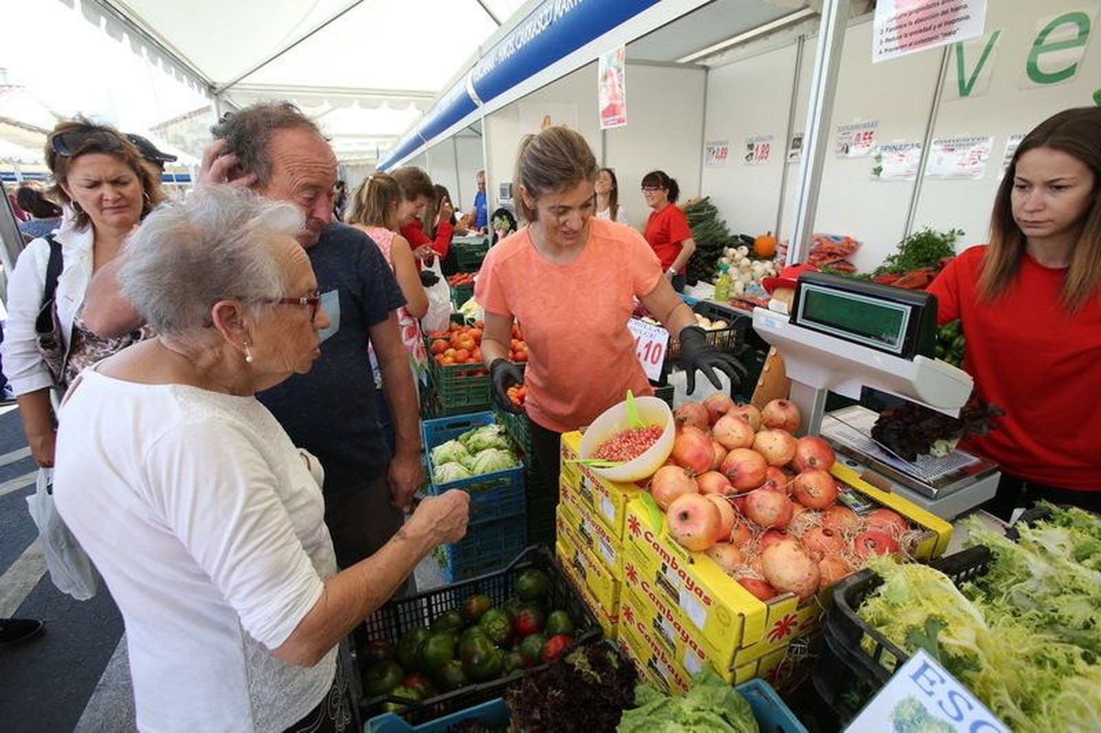 La huerta de Cabrerizos se viste de largo para su quinta feria