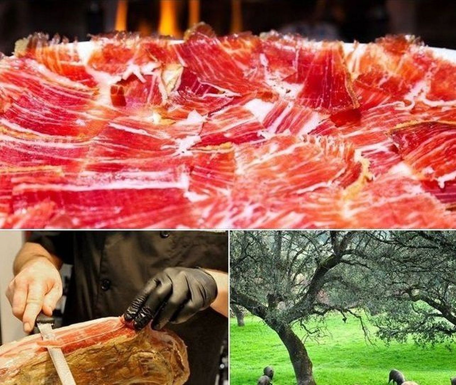 Turespaña promociona Guijuelo a través de las redes sociales