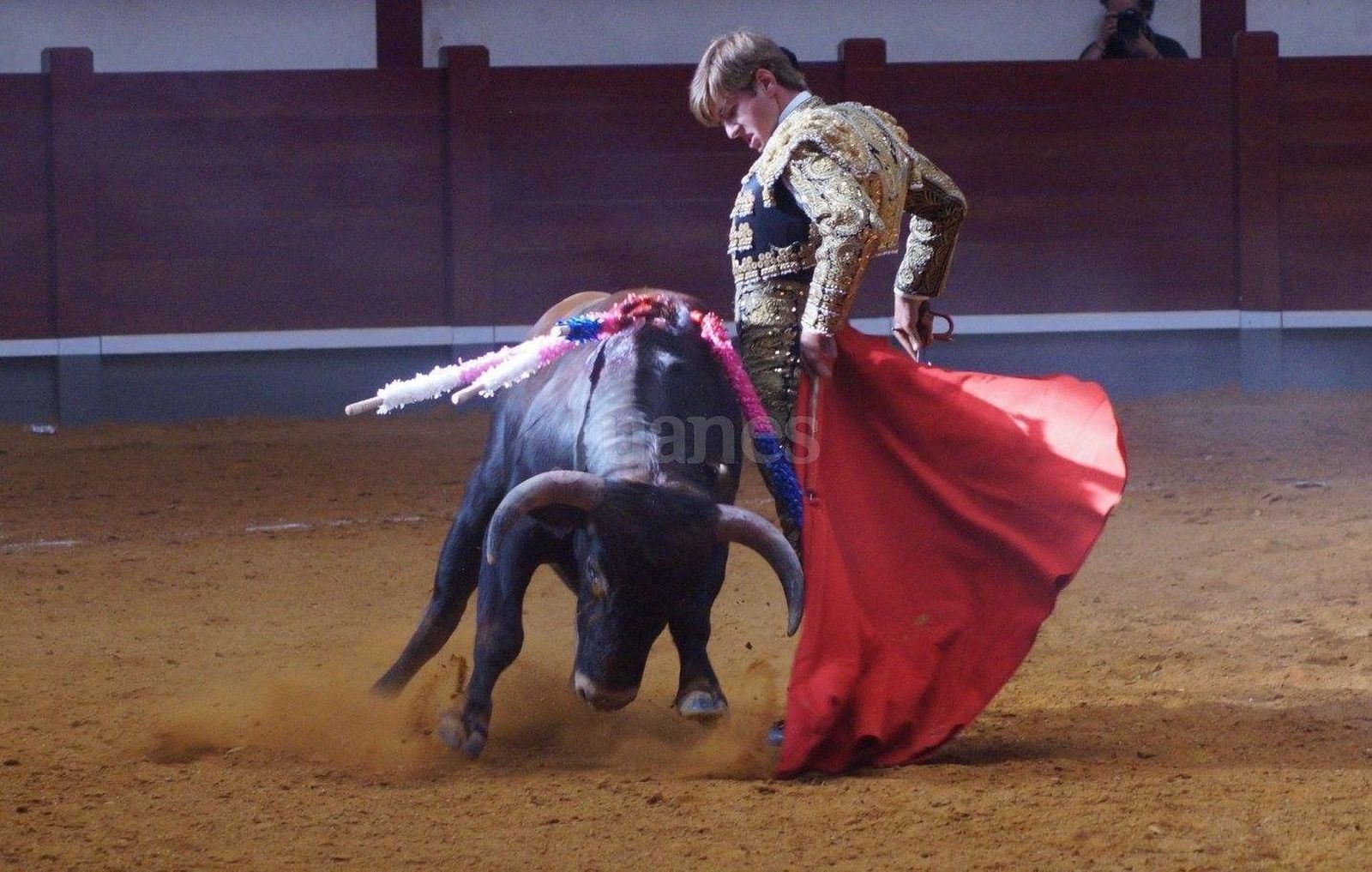 Tres orejas para Alejandro Mora en Navalperal de Pinares