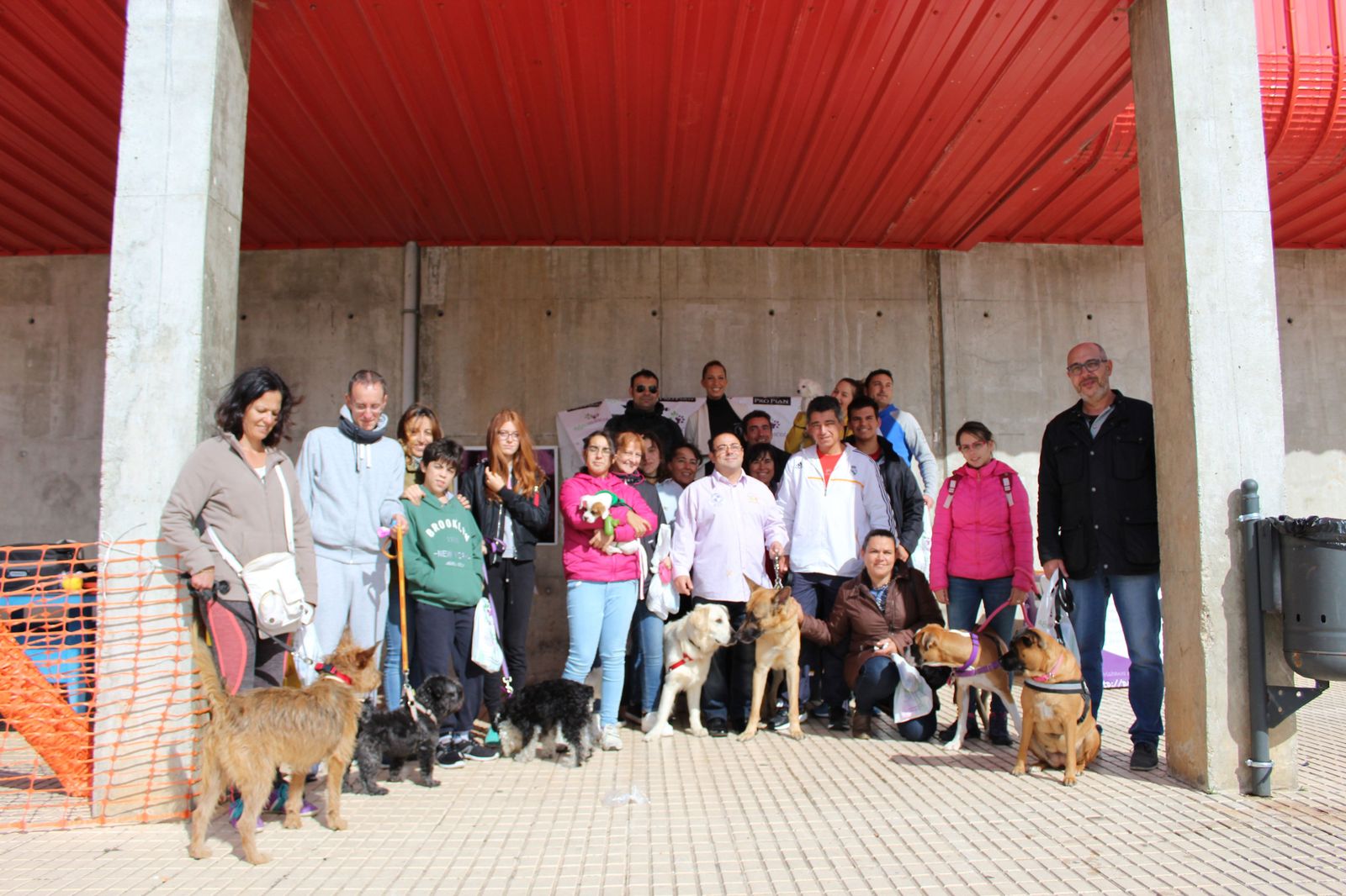 Cuarta jornada del taller canino en Villares de la Reina