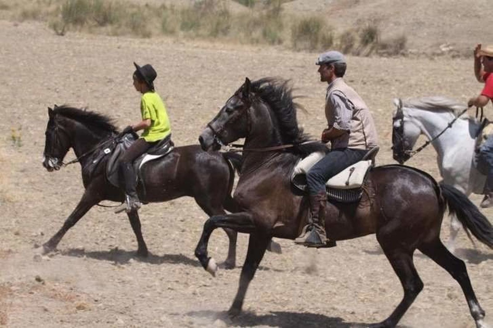 Suspendido el Concurso Territorial de Equitación de Trabajo por falta de caballos