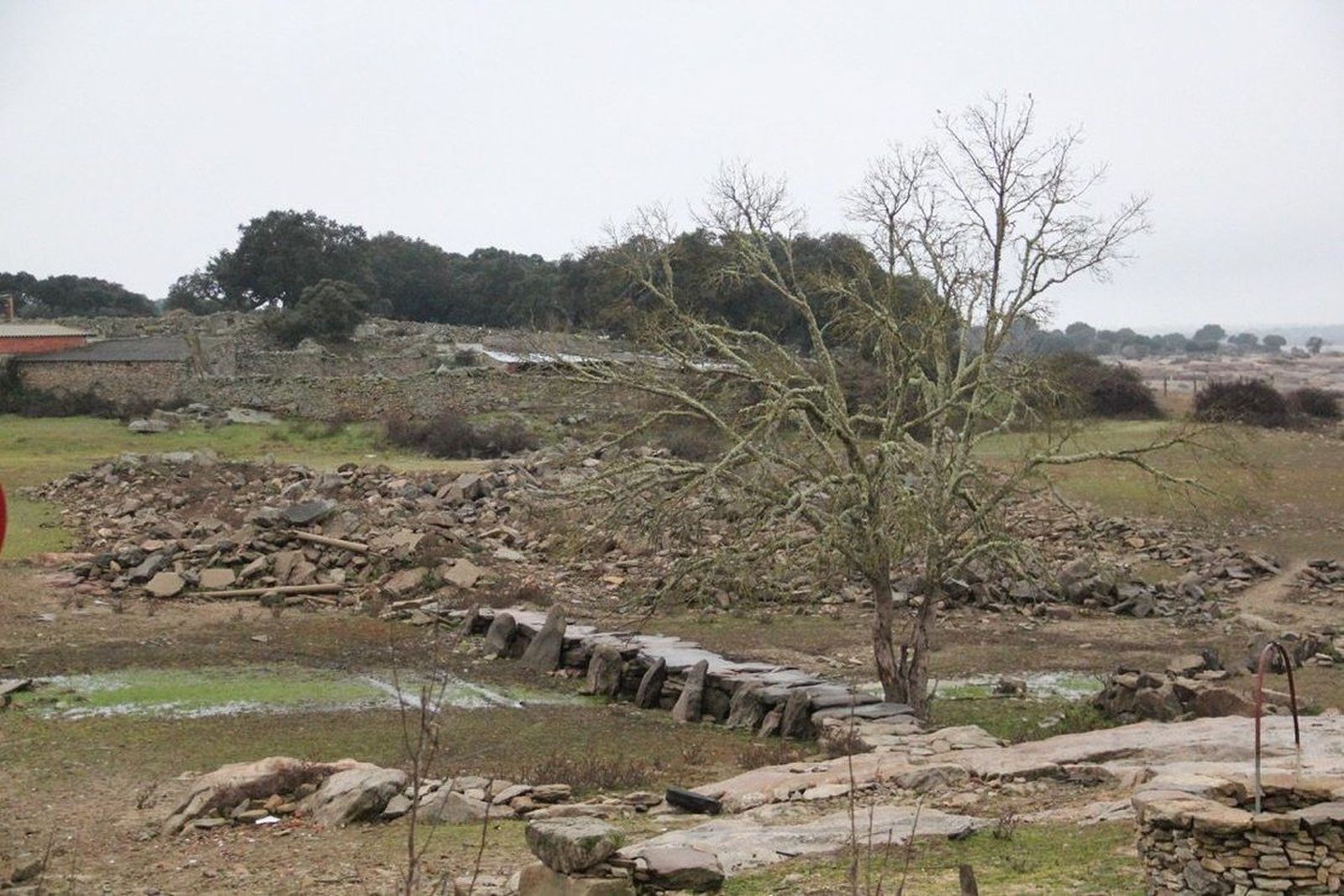 Ganemos pedirá a la Diputación apoyo al campo y revisión de las medidas contra la sequía y las heladas