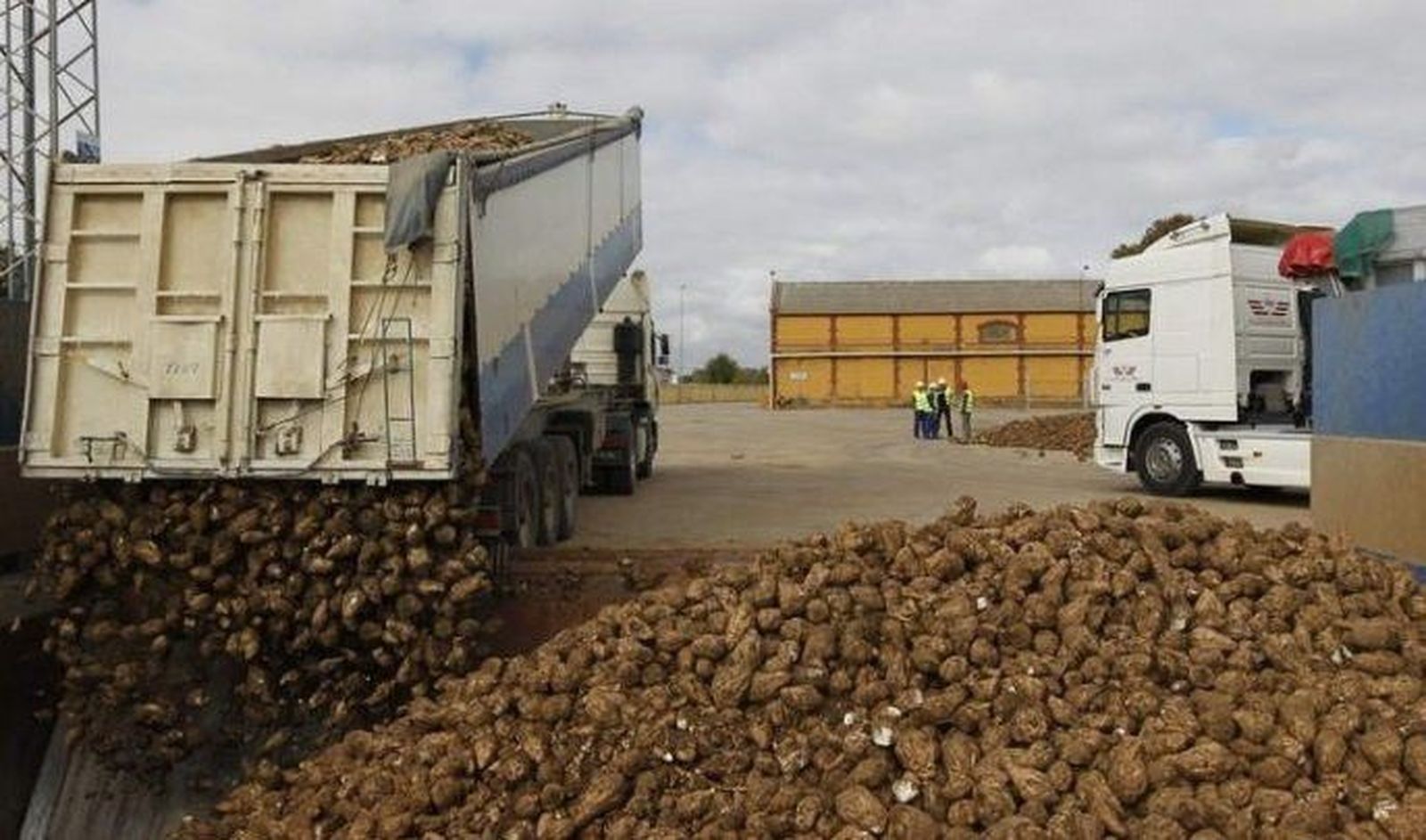 ASAJA pide a las administraciones vigilancia ante el fin del sistema de cuotas de remolacha