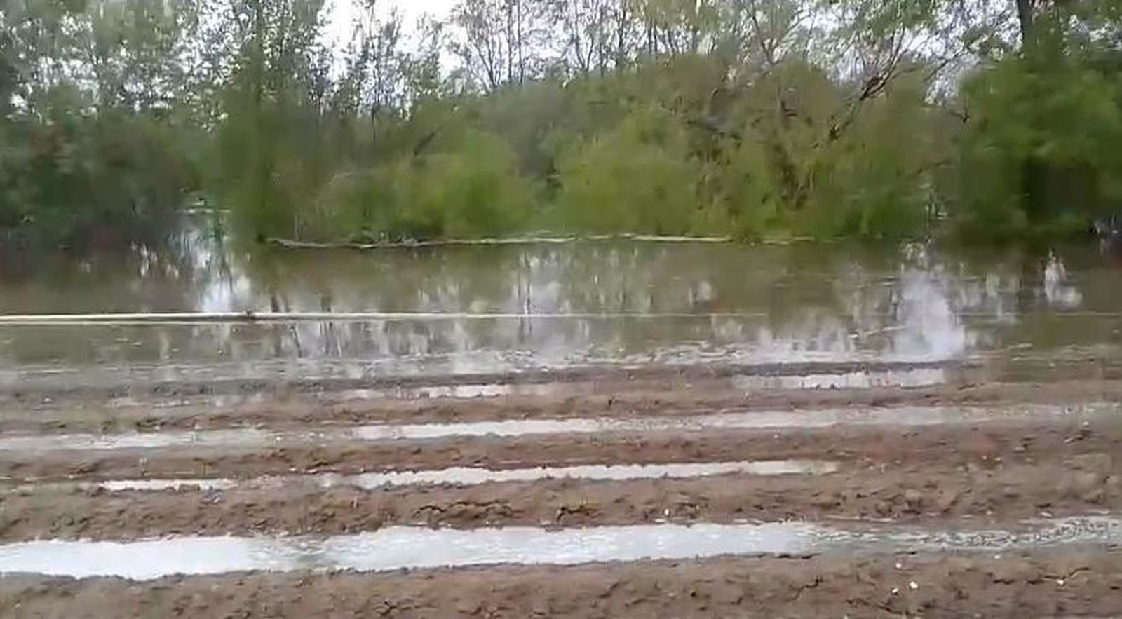Pérdida total de cosechas tras apertura de compuertas en el embalse de Santa Teresa