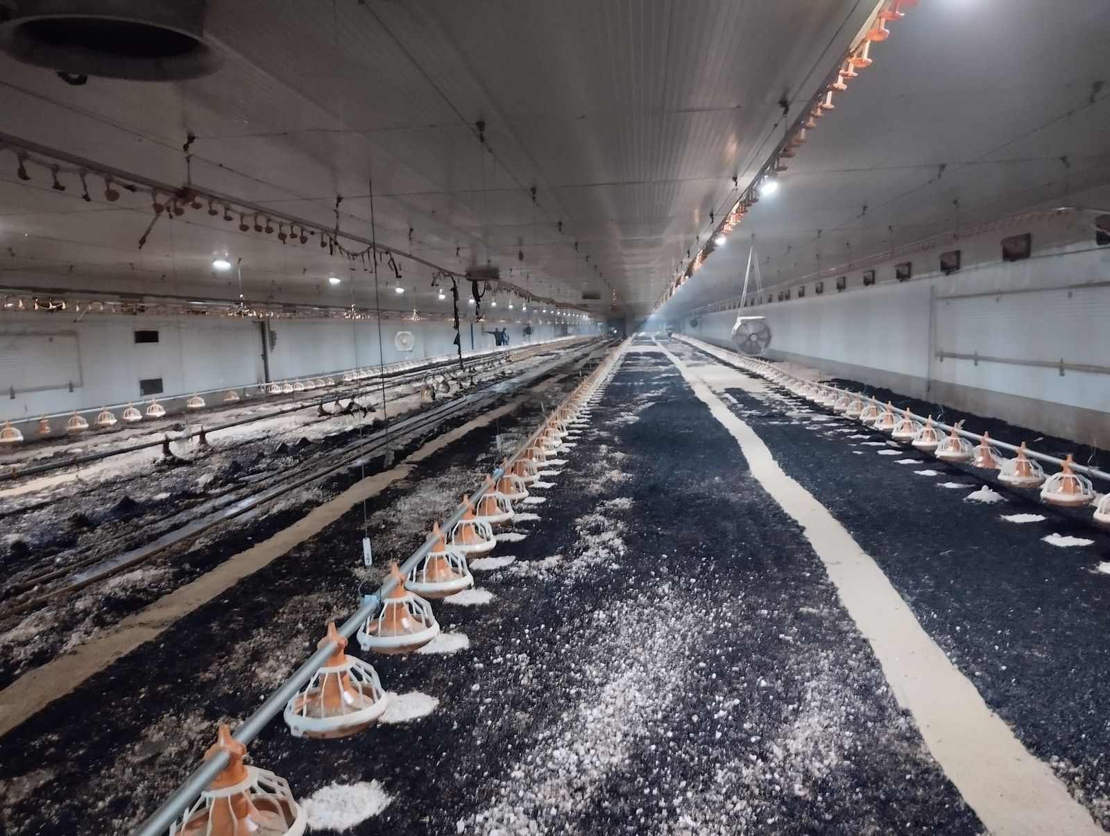 Arde una enorme nave de pollos en Coomonte de la Vega